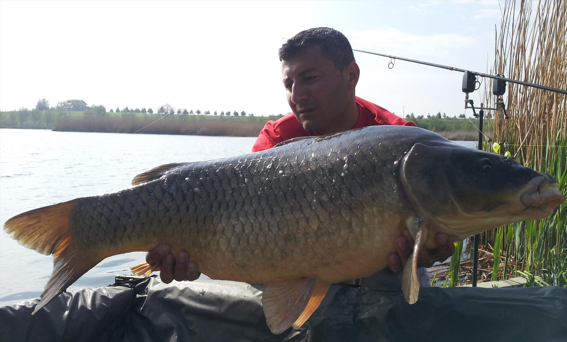 Tancabesti 21 - 22 aprilie 2014 - 20140422095511.jpg